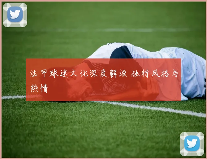 法甲球迷文化深度解读 独特风格与热情