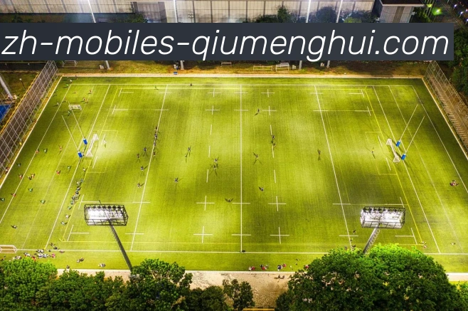 球盟会发展历程