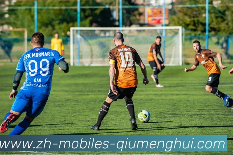 巴西甲足球联赛与西甲联赛的不同之处与相似之处